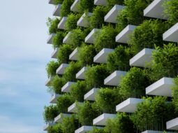 The Future of Green Building: Innovations in Sustainable Construction by Andrea D'Alessio