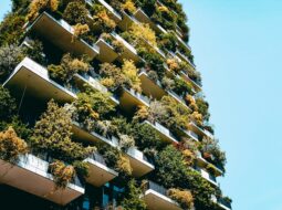 Green Architecture