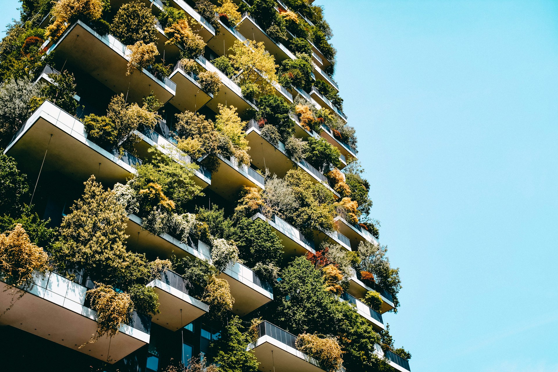 Green Architecture