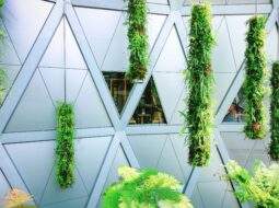 Sustainable Construction